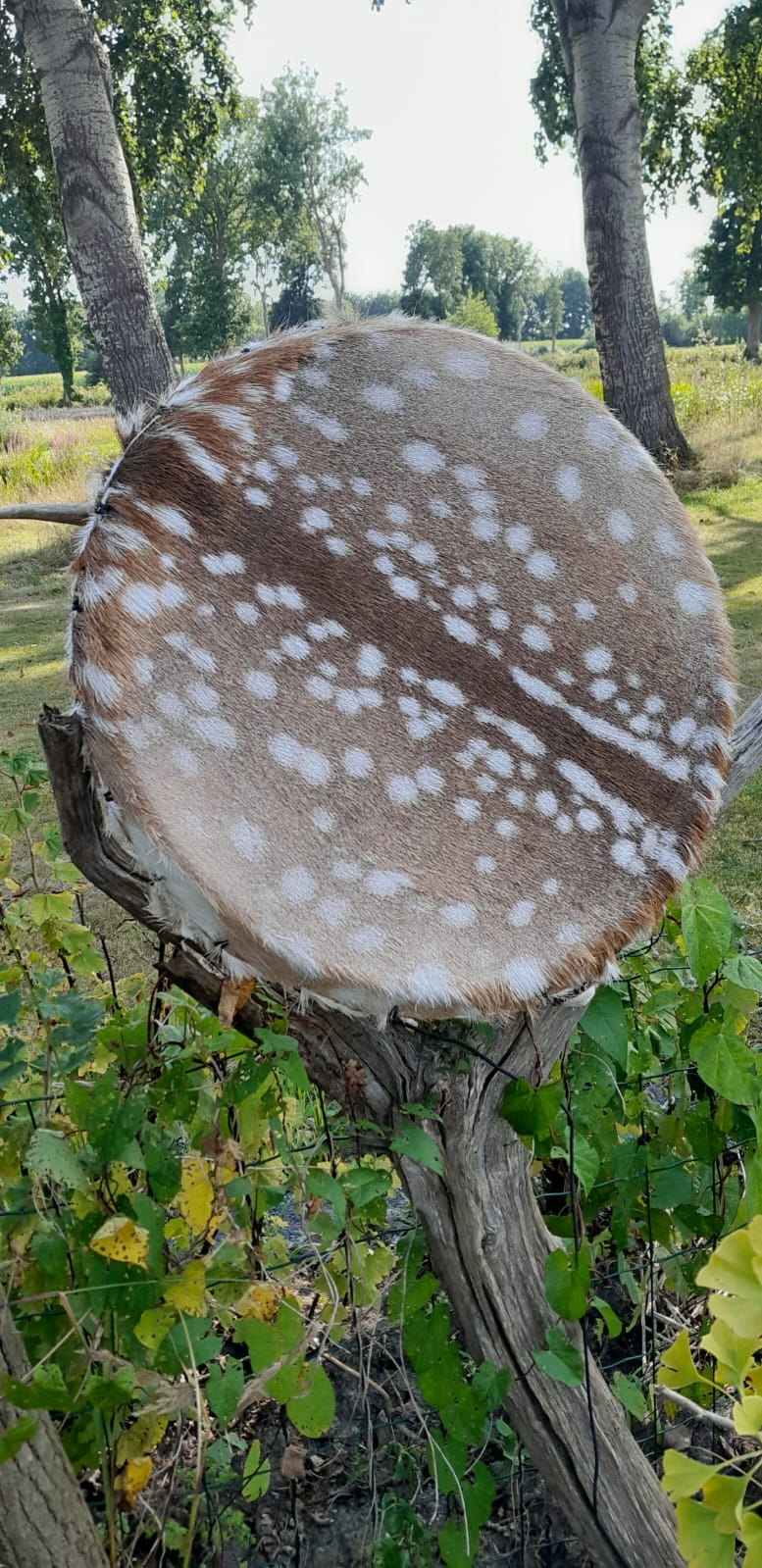 Handgemaakte Drum 6