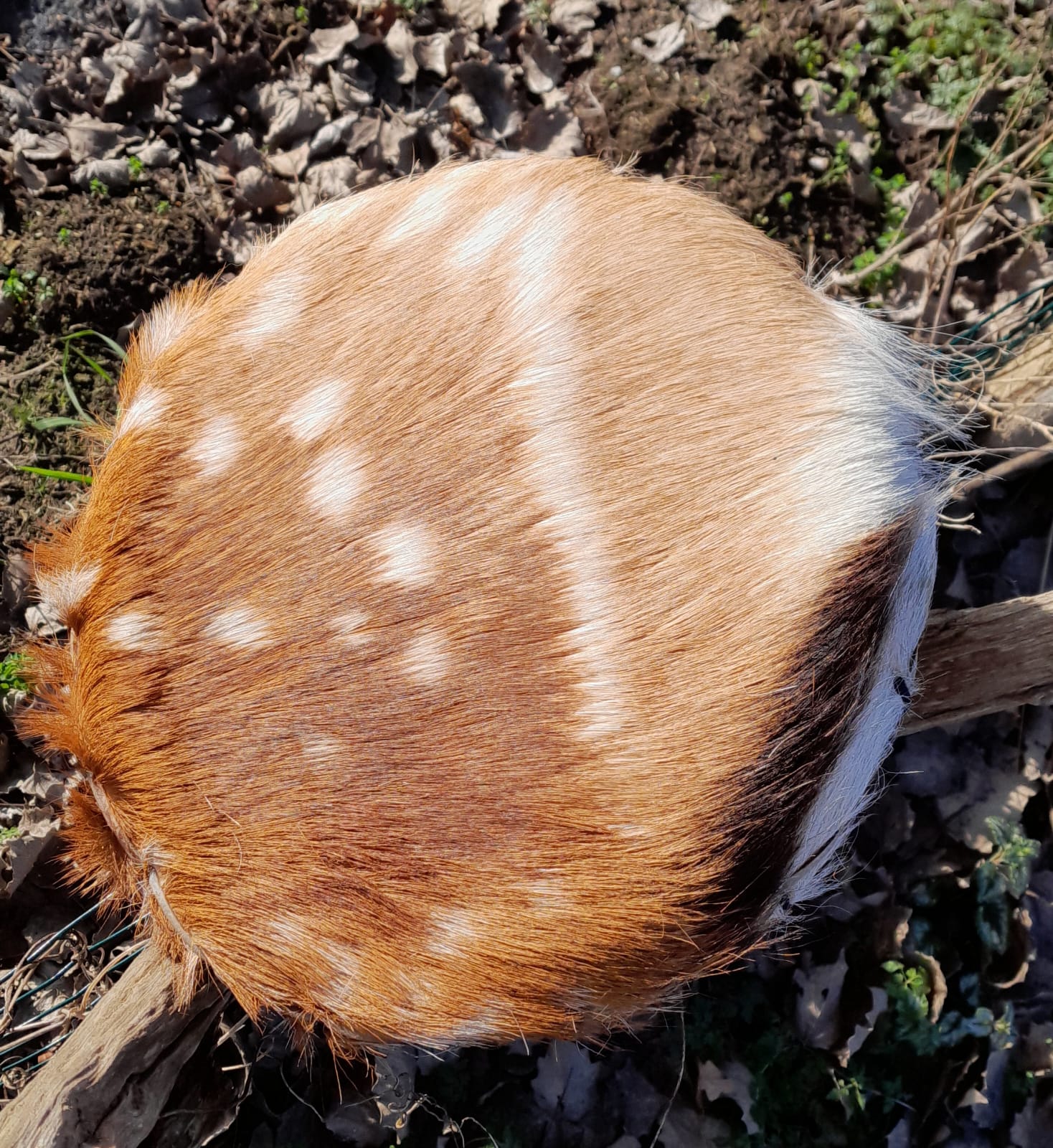 Handgemaakte Drum 15