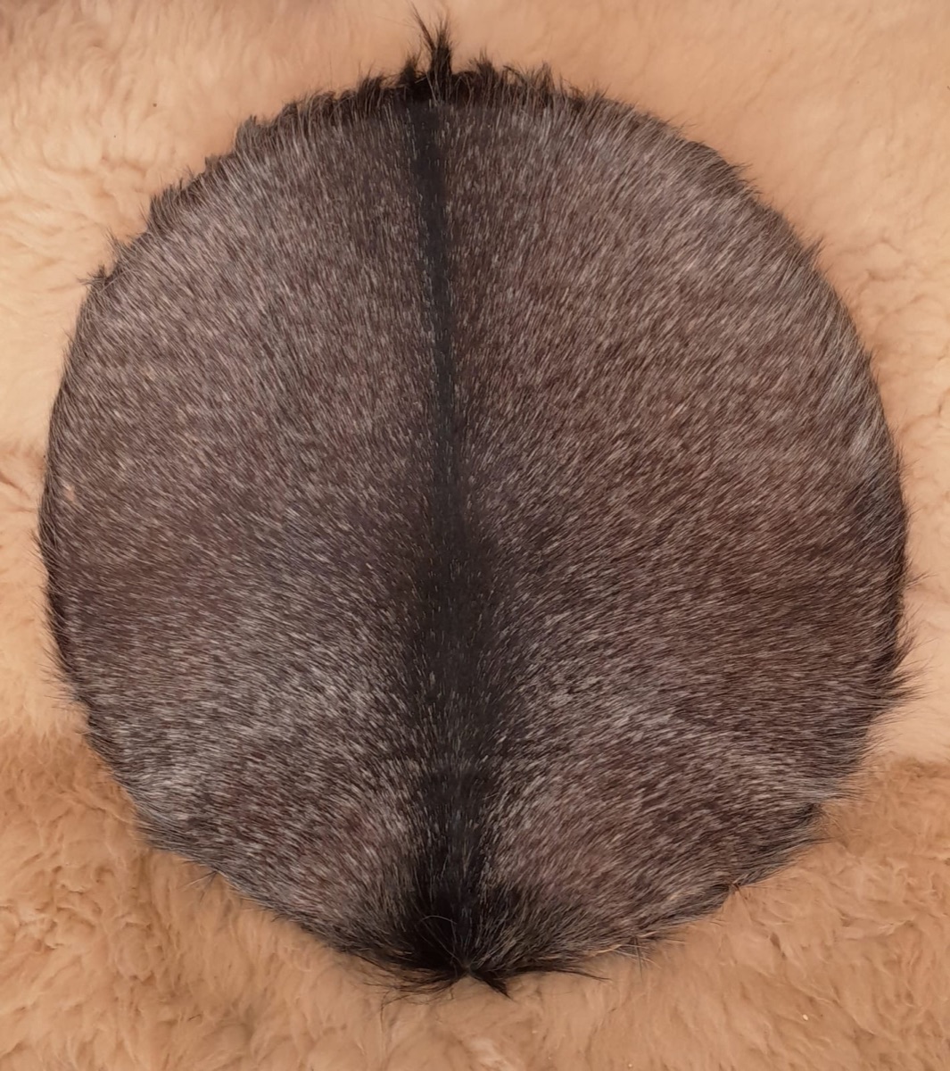 Bok drum 54 cm te koop